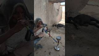 Bay bay jee smoking huqqa  Rural Living  Punjab Pakistan 🇵🇰 shorts short shortvideo [upl. by Neirda206]