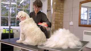 FURminator deShedding Tools for Dogs [upl. by Analra]