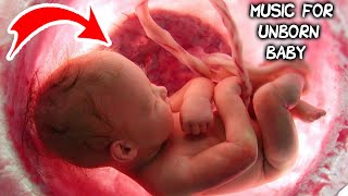 Music for unborn baby  Brain development  Relax [upl. by Leticia]