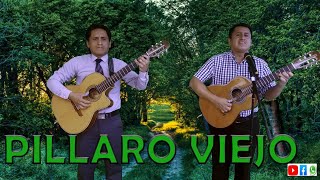 Píllaro viejotonadaGrupo Musical Los Medina [upl. by Nilesoj973]