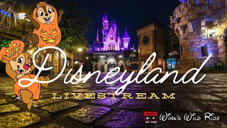 LIVE Disneyland Live Stream Wednesday Fun [upl. by Ahrendt]