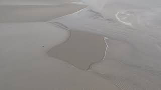 La montée du mascaret dans la baie du Mont Saint Michel  un ballet marin [upl. by Radmen]