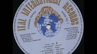 Bingy Bunny  She Loves Me  LP Ital International 1990  LOVERS DIGITAL 80S DANCEHALL [upl. by Franckot]