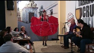 Jerez de la Ftra Cádiz Fabiola Barba baila por alegrías en el Tabanco Cruz Vieja Fotogalería [upl. by Aisilef88]