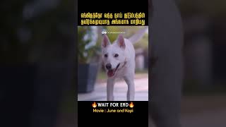 காப்பாற்றியவரின் குடும்பத்தை இமைபோல் காக்கும் தெரு நாய் June and KopiMovies explained in tamil [upl. by Maleki905]