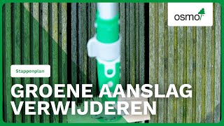 Groene Aanslag Verwijderen Hoe Verwijder Ik Groene Aanslag  Osmo Nederland [upl. by Eniretac]