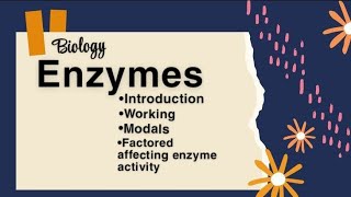 Enzymes Biology lectures  Factors Effecting Rate of Enzyme Activity  Tech Learner [upl. by Crow]