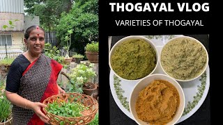 Thogayal vlog  Varieties of Thogayal  PudinaDosakkai Paruppu thogayal by Revathy Shanmugam [upl. by Anana]