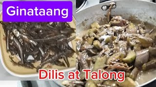 Ginataang Talong at Dried Dilis [upl. by Oiludbo]