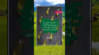 AJ ki BAAT Ache Bore ki tamizurdupoetry urduquotes islamicquotes islamicpoetryinurdu urdu [upl. by Corabella]