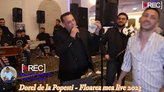 Dorel de la Popesti  Floarea mea live 2023 [upl. by Ahseekat]