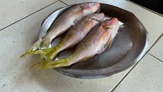 We ate 3 BIG Snapper Fish Look FRESH FISH at Hellshire Beach [upl. by Suivatna]