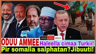 Pirzdantii somalia salphatanJibuutiiHaleella cimaa turkittiMarii UK fi Ethio10242024 AGM [upl. by Etnahc]