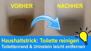 Toilette reinigen Toilettenränder amp Urinstein beseitigen  Kalkflecken entfernen [upl. by Aihsatsan326]