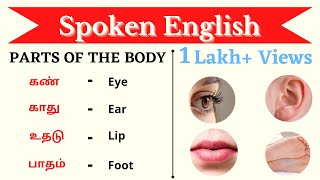 Parts of the body  English Basics  Ultramind [upl. by Yrmac615]