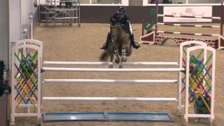 Showjumping  Bury Farm All Stars Grand Prix 2013 [upl. by Nohsid500]