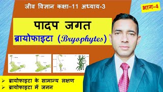 ब्रायोफाइटा के लक्षण Bryophytes  Bryophytes class 11 Bryophyta in hindi  Bryophyta ke lakshan [upl. by Llednor701]