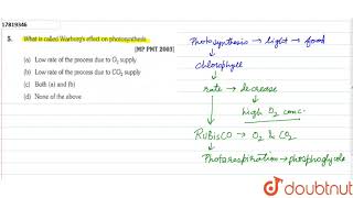 What is called Warburgs effect on photosynthesis [upl. by Guinevere953]