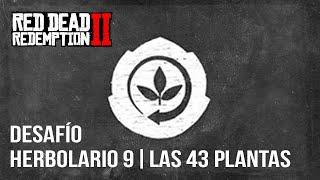 Red Dead Redemption 2  Desafío Herbolario 9  Las 43 Plantas [upl. by Attekram]