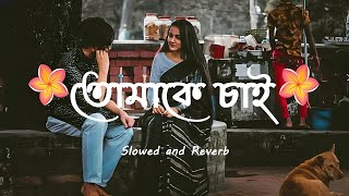 jodi sotti jante chao  arijit singh bengali songs  gangster movie songs [upl. by Dlorah353]