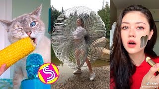 Best Funny TikTok Videos Compilation  ComedyampSatisfying TikTok 2019 [upl. by Hoebart]