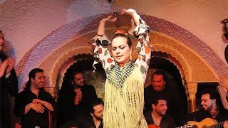 Flamenco Night at Tablao Cordobes in Barcelona Spain [upl. by Yenatirb]