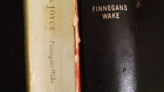 Beware All Finnegans Wakes are Not Alike [upl. by Jard876]