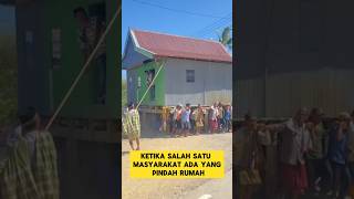 tradisi unik ketika pindah rumah ‼️‼️ tradisi unik bugis keren indonesia gotongroyong [upl. by Girardo]