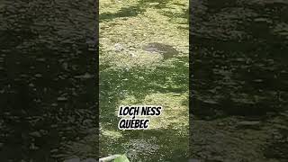 LOCH NESS QUÉBEC nature scary monstre monster [upl. by Luap]