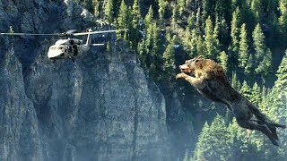 Giant Wolf Attack Scene  Wolf vs Helicopter  Rampage 2018 Movie Clip HD [upl. by Notseh316]