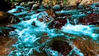 Quiet Rain Water Sounds for Relaxation Flowing water sounds for deep sleep and relaxation [upl. by Elades313]