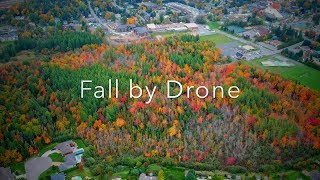 Fall by Drone 🍁🍂 [upl. by Odnomor964]