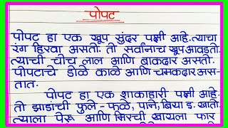 पोपट निबंध मराठी  Essay On Parrot In Marathi  माझा आवडता पक्षी पोपट निबंध  Popat Nibandh Marathi [upl. by Zerk]