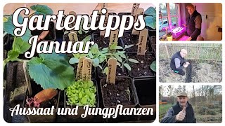 Aussaat und Jungpflanzen 🌱 Gartentipps im Januar [upl. by Alegnaoj896]