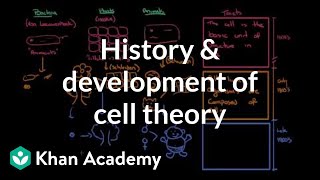 History and development of cell theory  Cells  MCAT  Khan Academy [upl. by Rdnaskela]