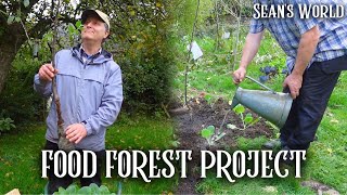 Creating a Low Maintenance SelfSufficient Food Forest [upl. by Corbett]