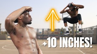 How I Increased My Vertical Jump BY 10 INCHES FULL WORKOUT [upl. by Anama]