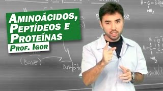 Química  Aminoácidos Peptídeos e Proteínas [upl. by Bonina855]