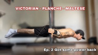 Ep 2 Got some power back  Victorian Planche and Maltese Training Week [upl. by Eannaj]