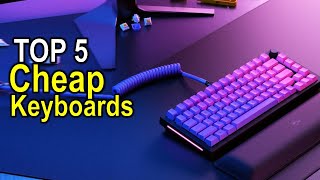 Best Cheap Keyboards in 2025  Top 5 Best Cheap Keyboards Reviews and Buying Guide [upl. by Rapsac]