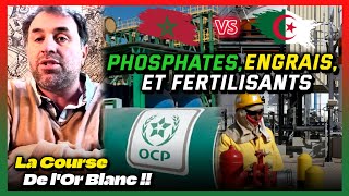 Sonatrach vs OCP  lAlgérie peutelle concurrencer le Maroc dans lindustrie des Phosphates [upl. by Enalda121]