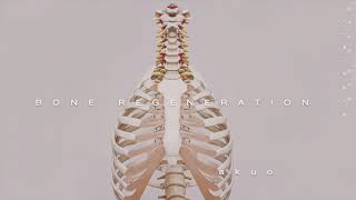 REGENERATE BONE ―∎ affirmations  Superhuman Skeletal System [upl. by Cuda878]