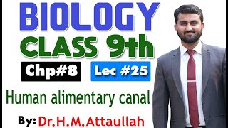 Human alimentary canal  Chapter 8  9th class Biology  Lec 25 [upl. by Alburg]