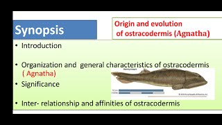 Origin evolution and general characters of Agnatha Ostracoderms and CyclostomesMsc zoology final [upl. by Milurd]