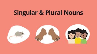 Singular amp Plural Nouns – English Grammar Lessons [upl. by Suoivatco]