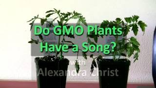 Do GMO Plants Sing [upl. by Brindle40]