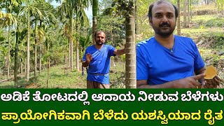 ಅಡಿಕೆ ತೋಟದಲ್ಲಿ ಆದಾಯ ನೀಡುವ ಅಧ್ಬುತ ಬೆಳೆಗಳು  Intercropping in arecanut  arecanut farming in kannada [upl. by Draneb]