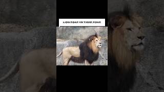 Tiger Roar vs Lion Roar  Which is LOUDERPart One [upl. by Yenahc]