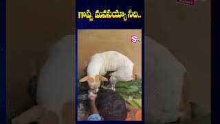 గొప్ప మనసయ్యా నీది Emotional Moment In Vijayawada Floods  SumanTV Annamayya Dist [upl. by Issor465]