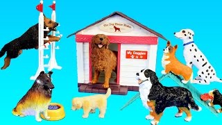 Toy Dogs School Playset For Kids  Learn Animal Names For Kids [upl. by Alimat]